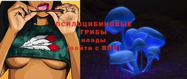 mdma Новозыбков
