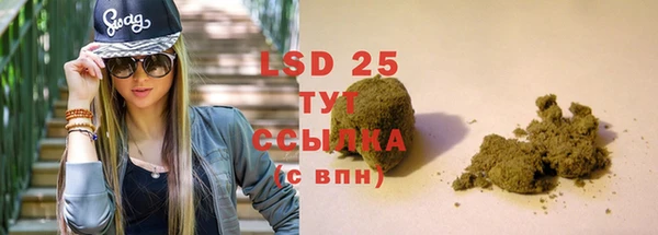 mdpv Новодвинск