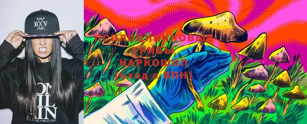 mdpv Новодвинск