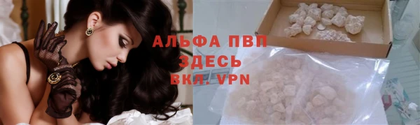 mdma Новозыбков
