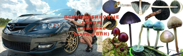 прущая мука Новокубанск