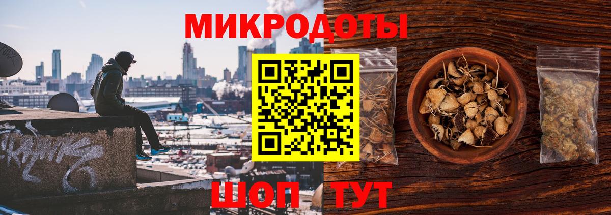 Псилоцибиновые грибы GOLDEN TEACHER Прохладный