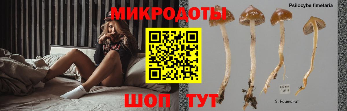Псилоцибиновые грибы Psilocybe  Псилоцибиновые грибы ЛСД  Вход с VPN  Прохладный 